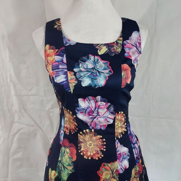 FROCK SHOP Blue Floral Print Fit n Flare Dress w Pockets Womens Size Small Flowy - Picture 3 of 10